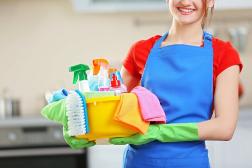 Secure deep cleaning payment checkout illustration