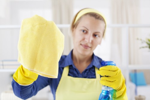 Essential cookie policy overview for Deep Cleaning website