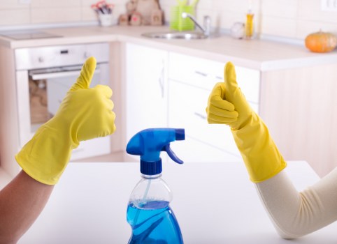 Professional deep cleaning team preparing a property for service