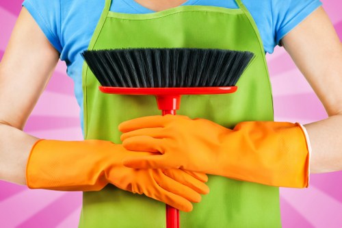 Professional rug cleaning service in a Deep Cleaning home during a deep clean