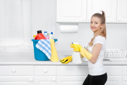 Visual of supply chain risk review for a deep cleaning supplier