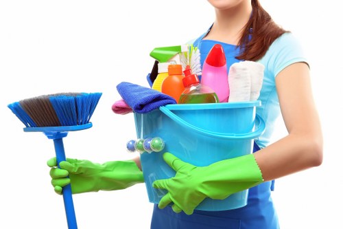 Professional domestic deep cleaning for a local home interior