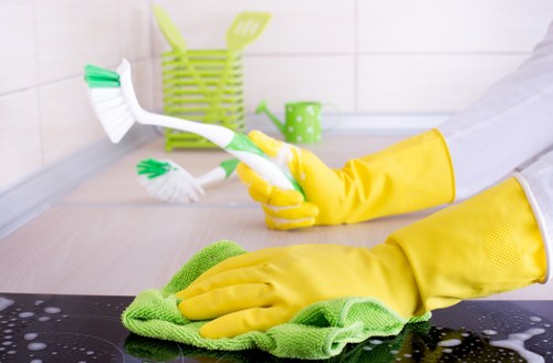Local carpet cleaning service for family homes and apartments
