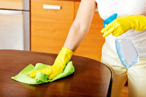 Stairs and high-traffic carpet areas being deep cleaned