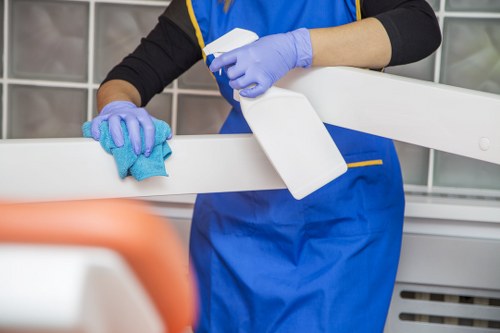 Cleaner carrying out detailed deep cleaning in a home